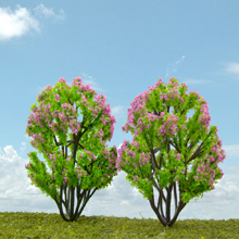 model trees